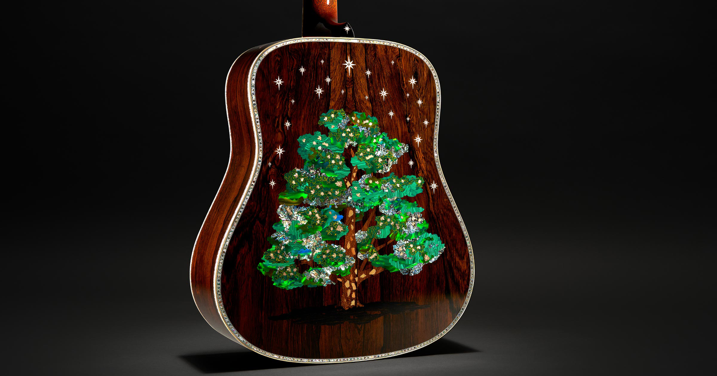 Acoustic guitar with a sycamore tree on the back