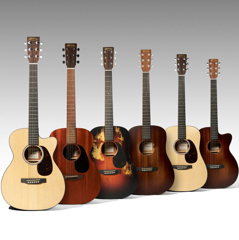 Find Your Perfect Companion: The All-New Junior Series
