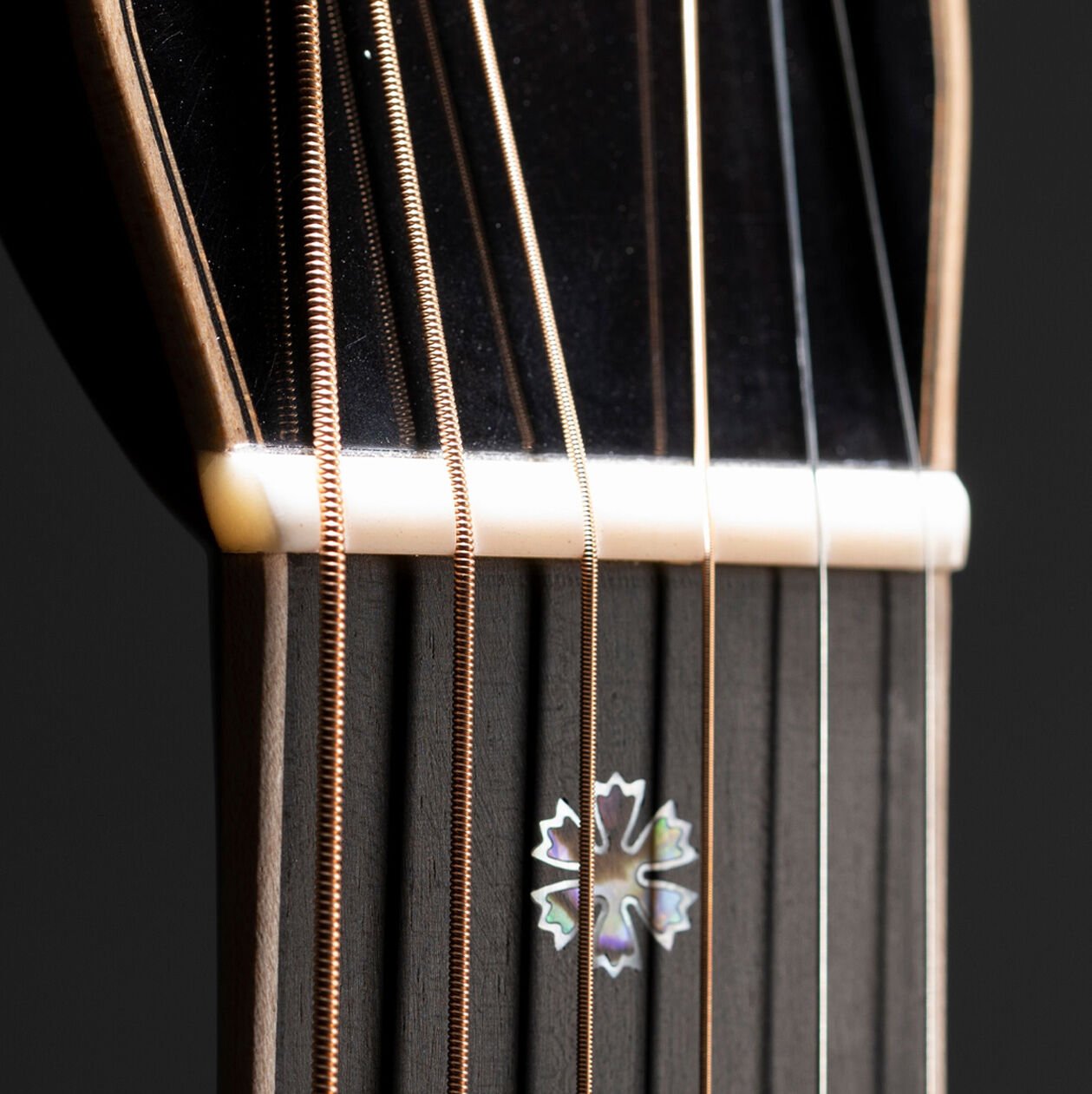 Closeup photo of a guitar nut
