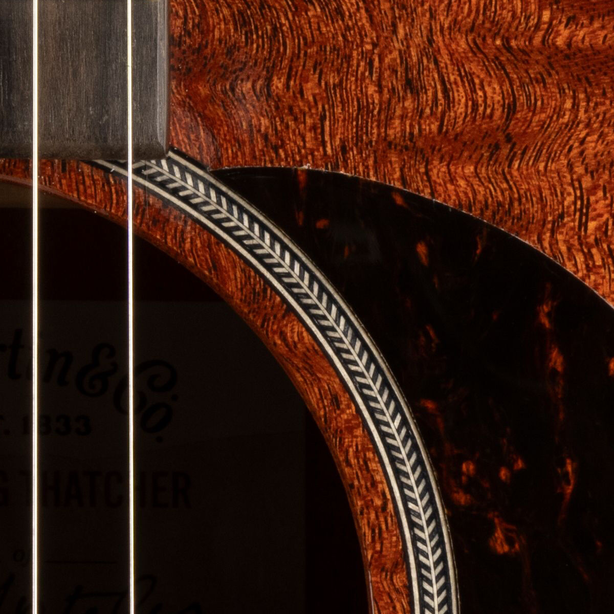 closeup of the soundhole purfling and pickguard