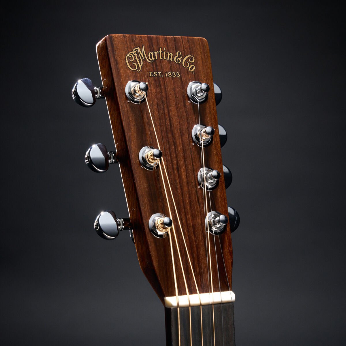 closeup of an acoustic guitar headstock
