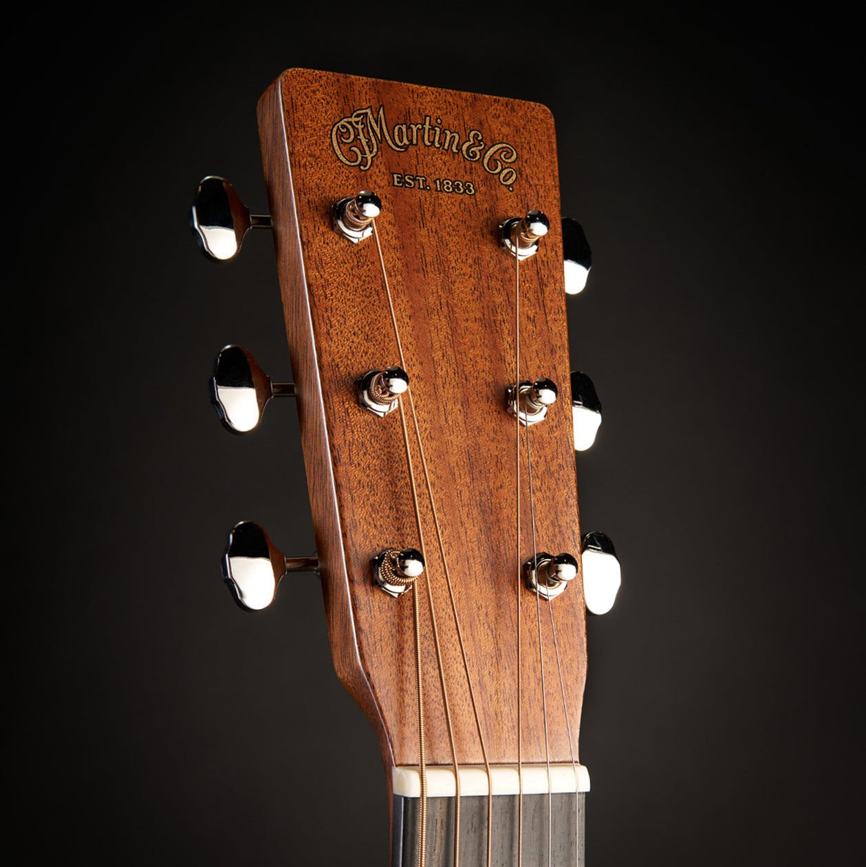 Glam photo of the Jeff Tweedy signature model