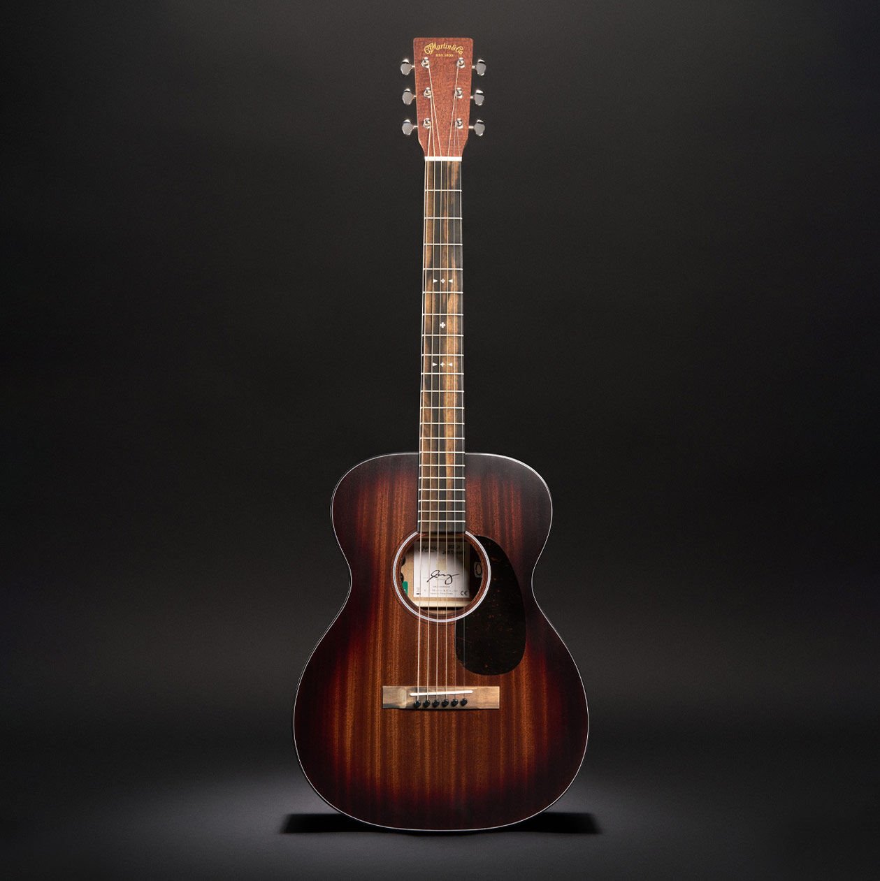 Glam photo of the Jeff Tweedy signature model