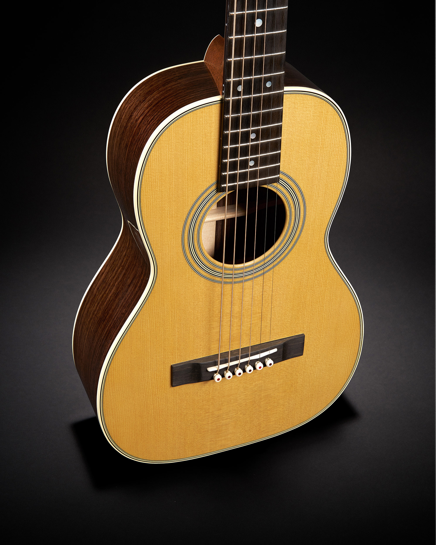 The 5-28 Terz acoustic guitar