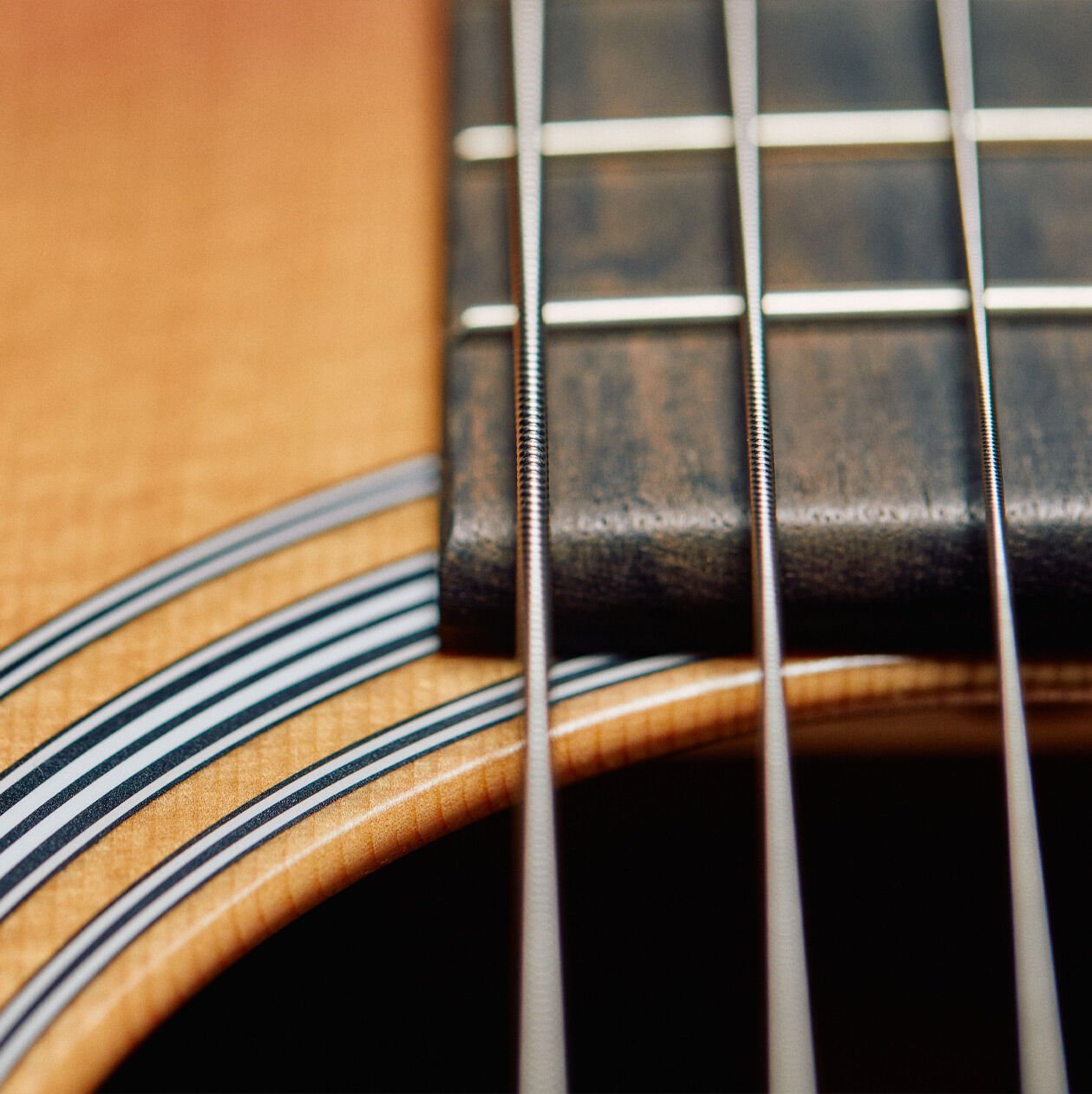 Closeup of guitar strings on an acoustic guitar