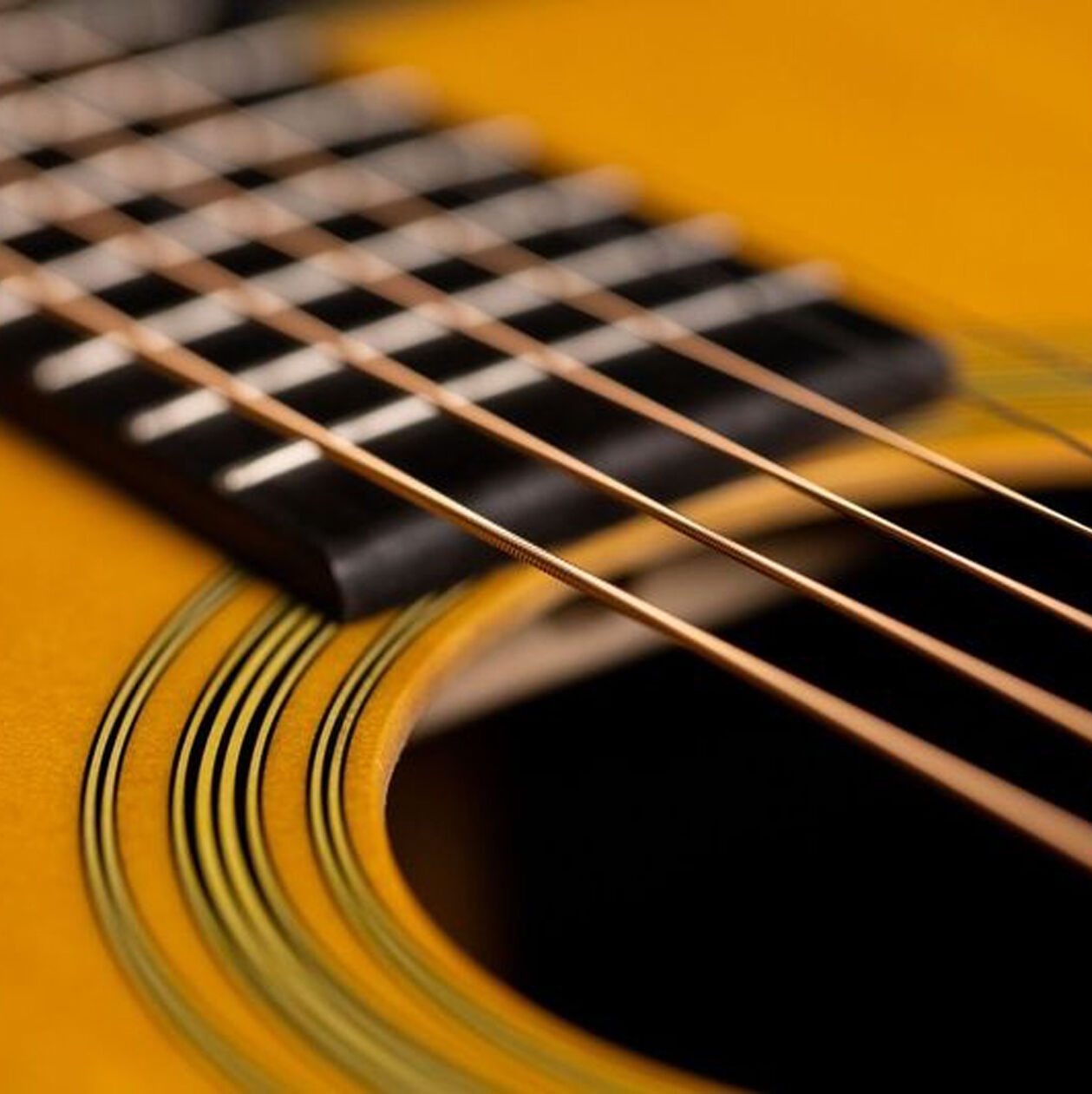 Closeup of guitar strings on an acoustic guitar