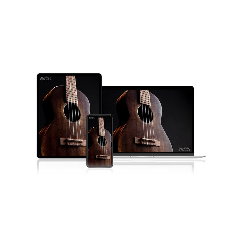Ukulele pictures on a computer screen