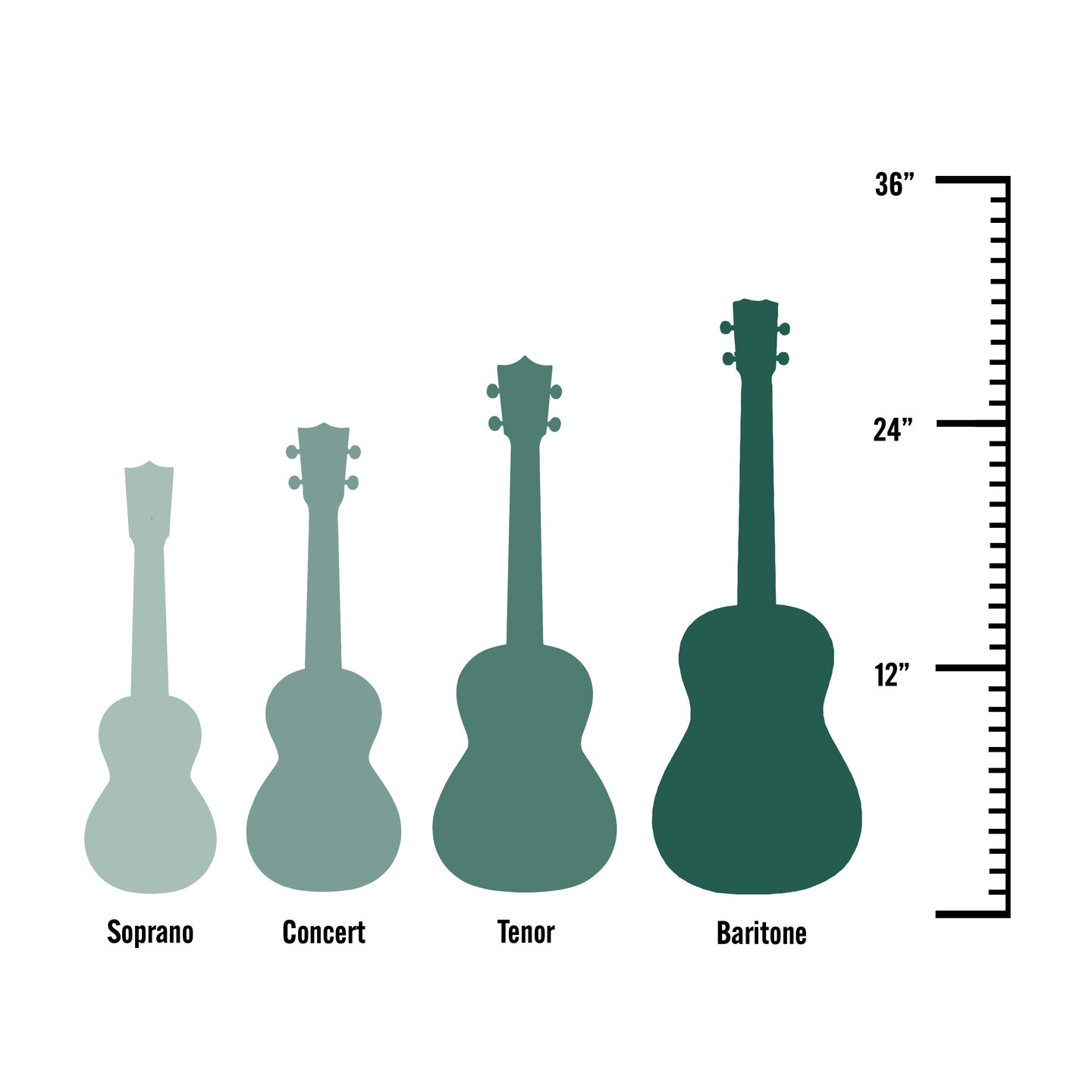 Understanding Ukulele Sizes A Beginners Guide to Uke