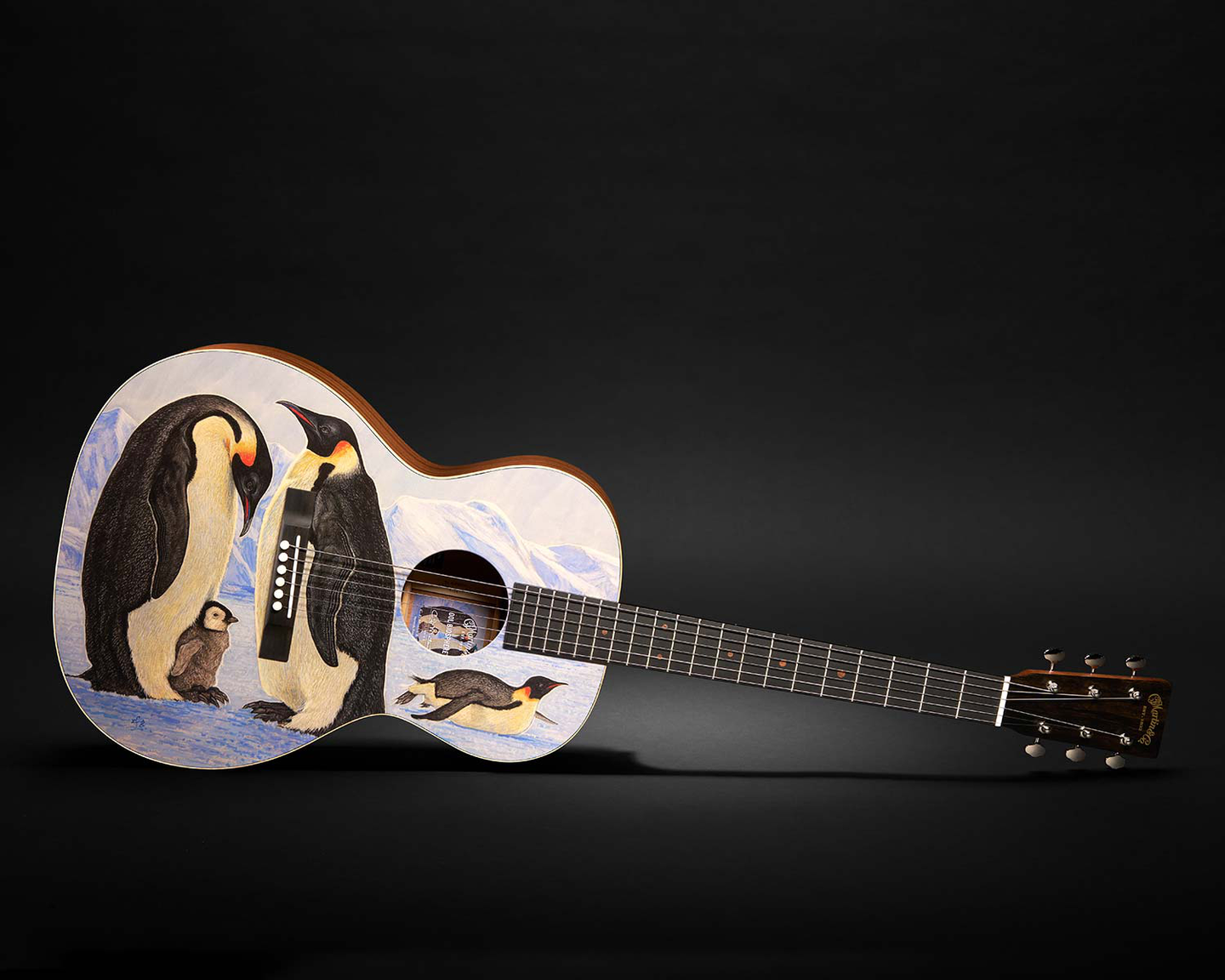 New FSC-Certified Biosphere guitar