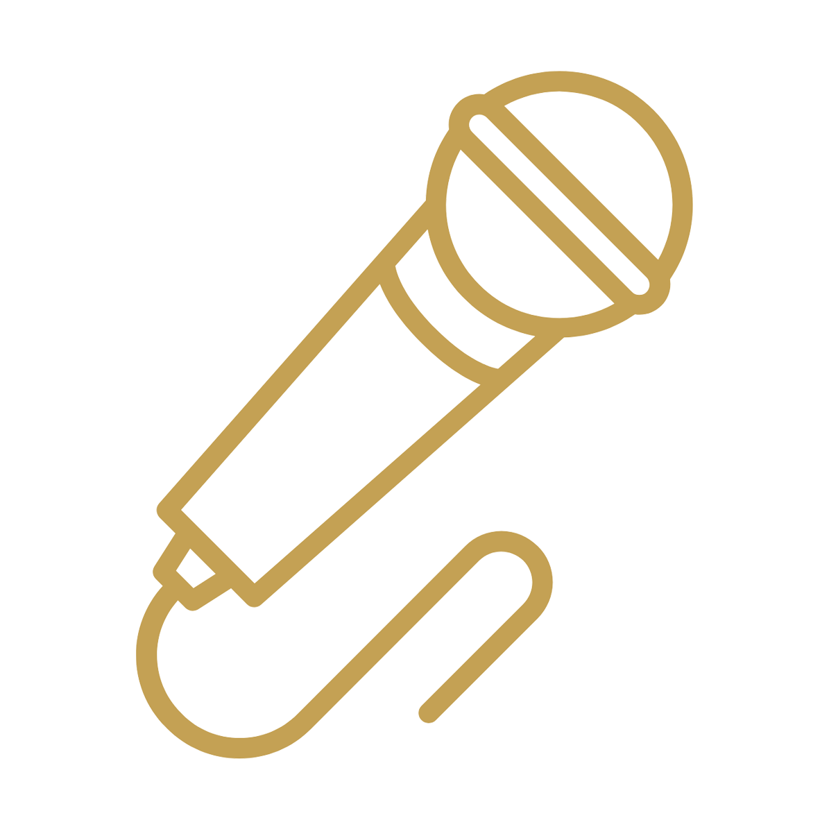 Tips & Tricks microphone icon