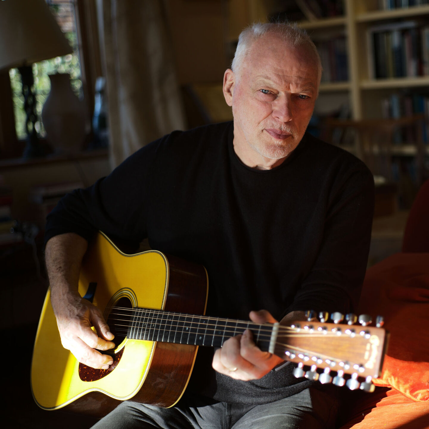 David Gilmour playing his signature D-35 12-string