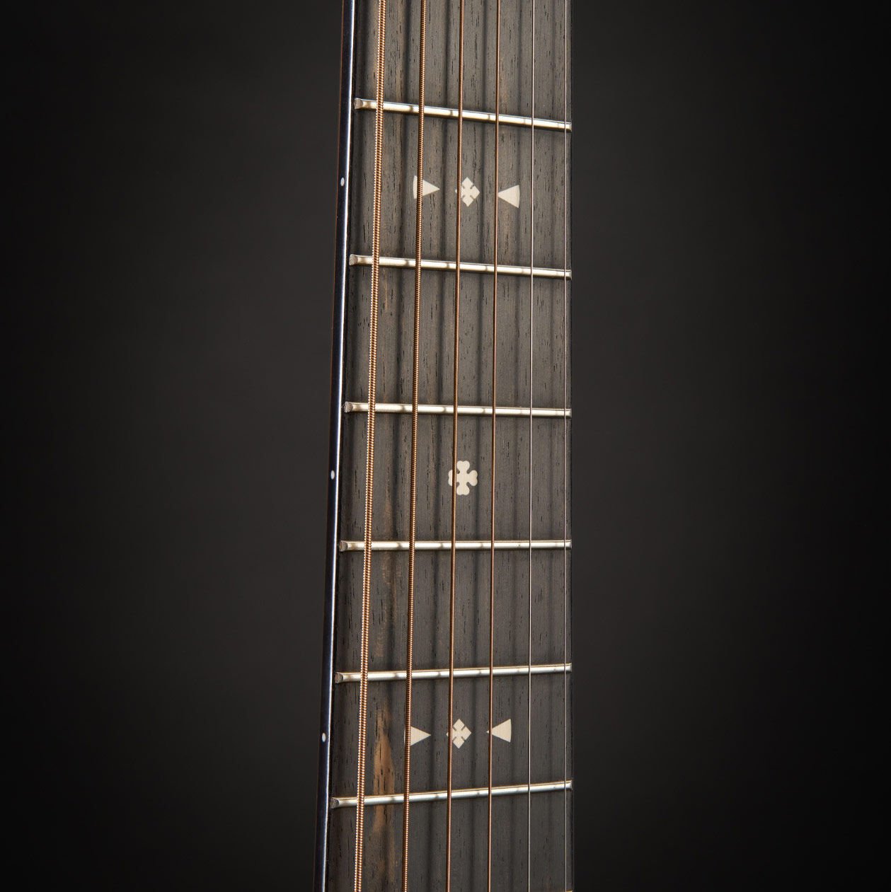Glam photo of the Jeff Tweedy signature model