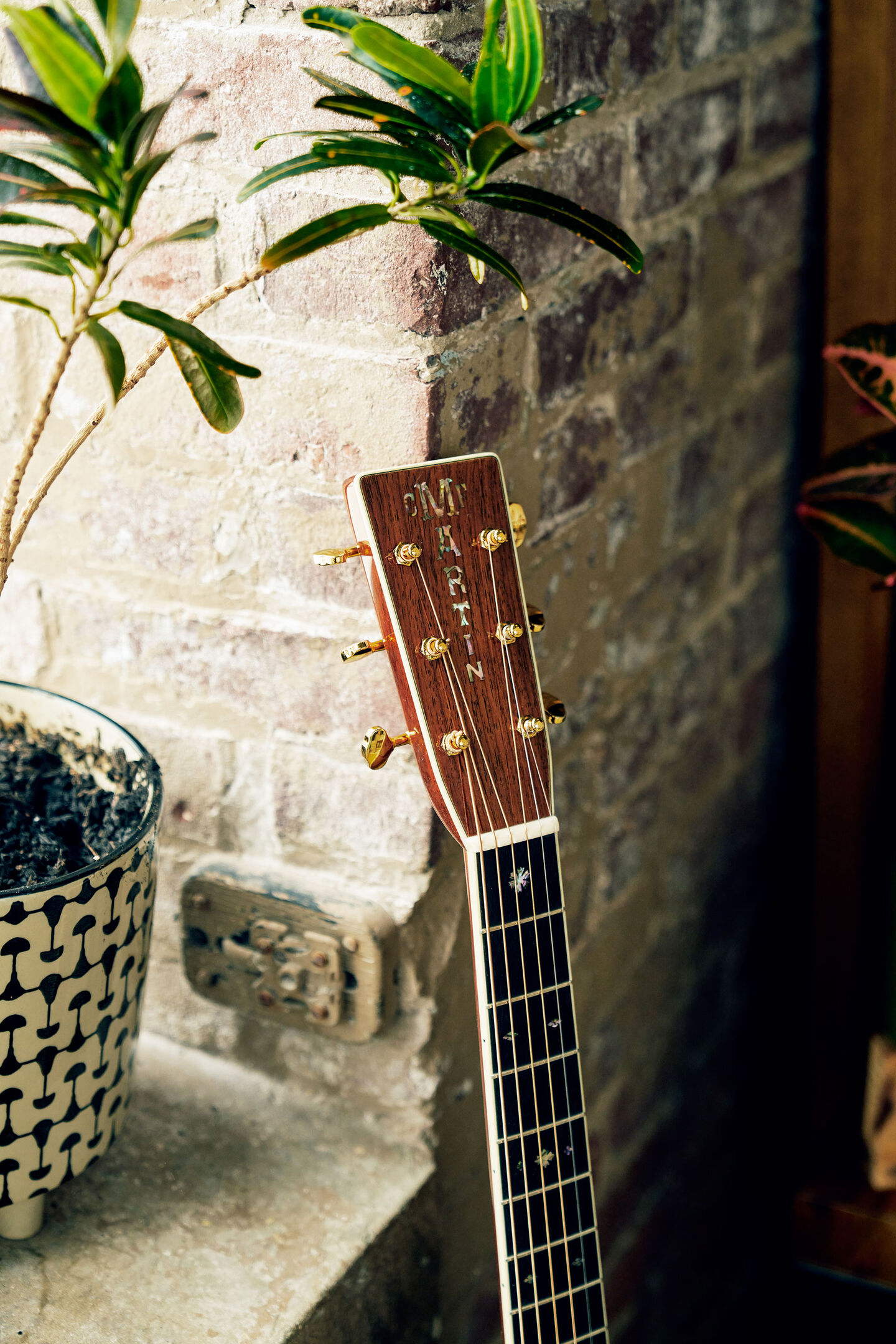 Neck and headstock of an acoustic guitar