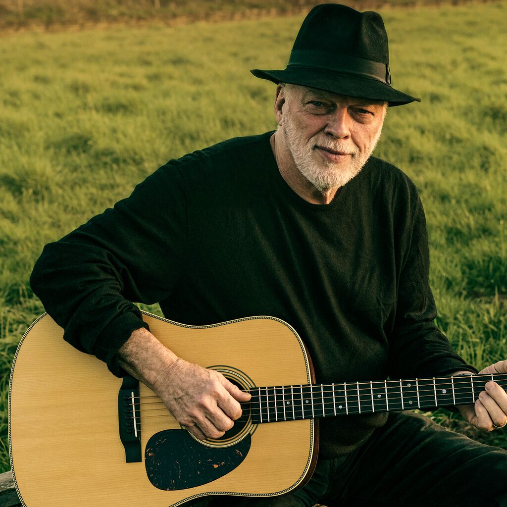 D35 David Gilmour 12 String Custom Signature Martin Guitar