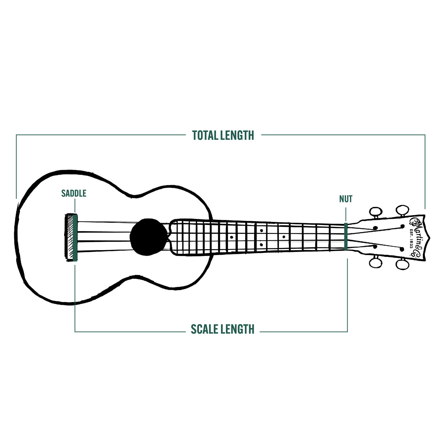 Types of Ukuleles (Soprano v/s Concert v/s Tenor v/s Baritone)