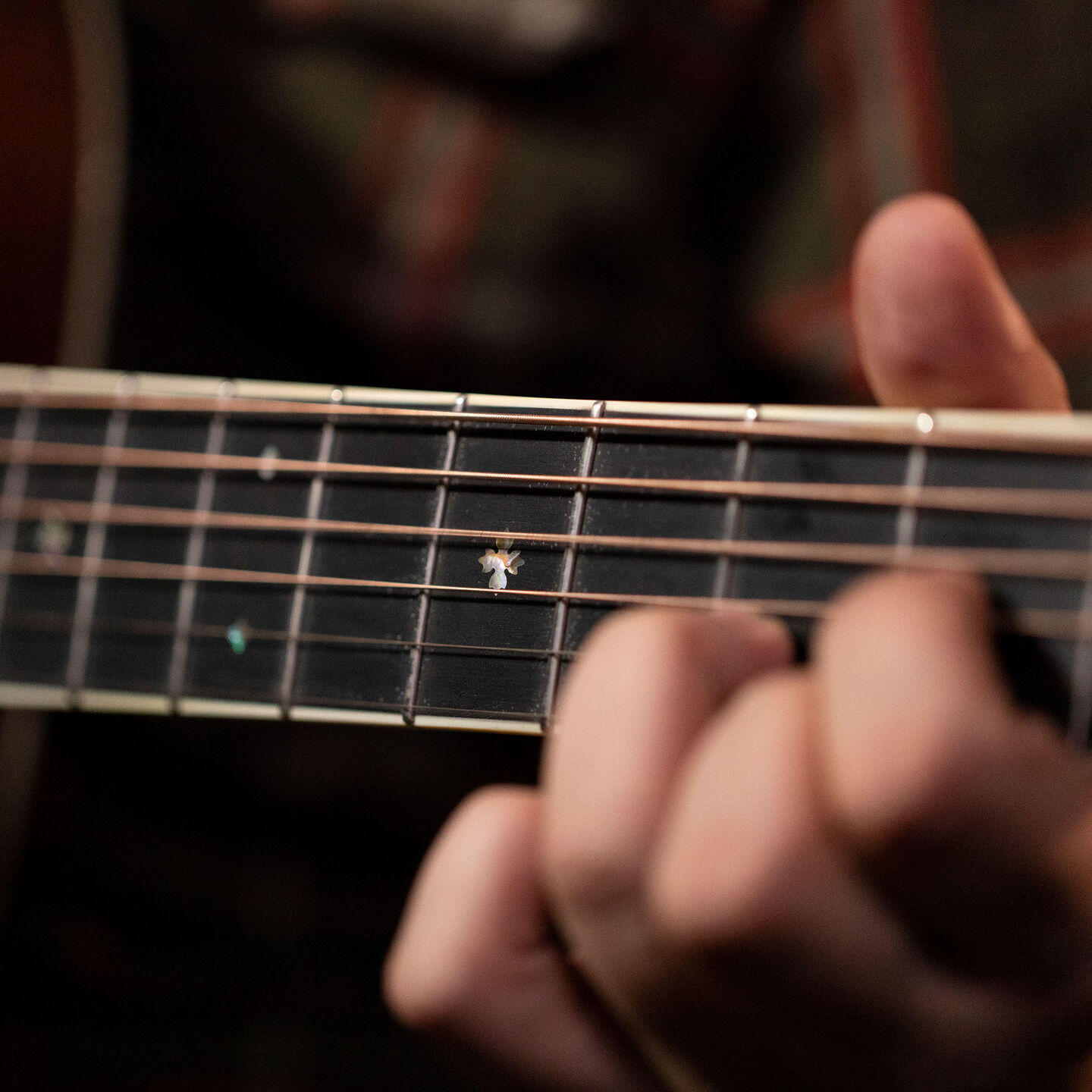 Close up of a guitar fretboard