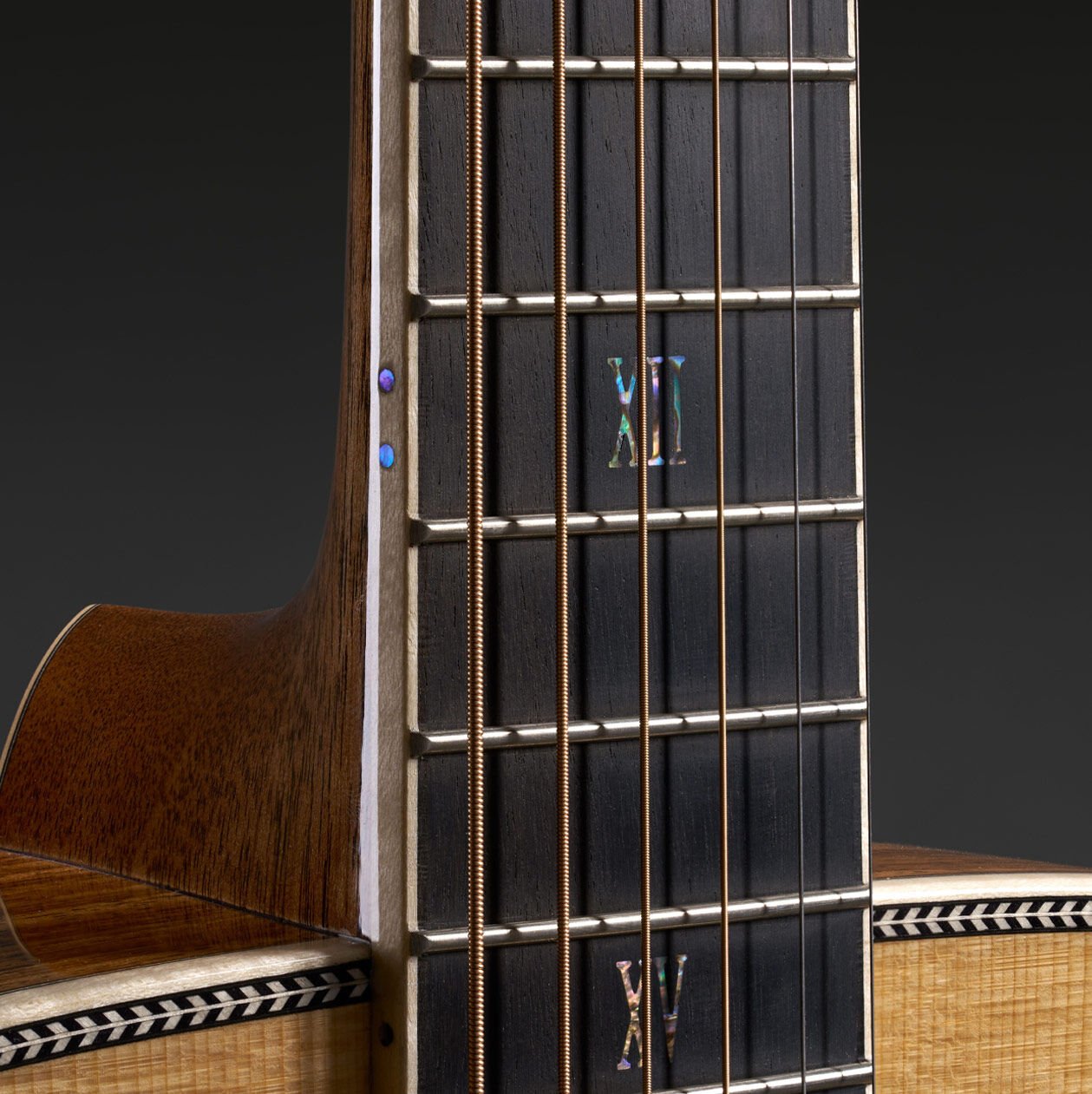 Fretboard of the OM Mikael Akerfeldt