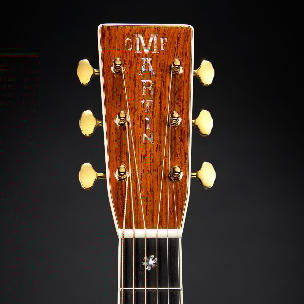Closeup of guitar headstock