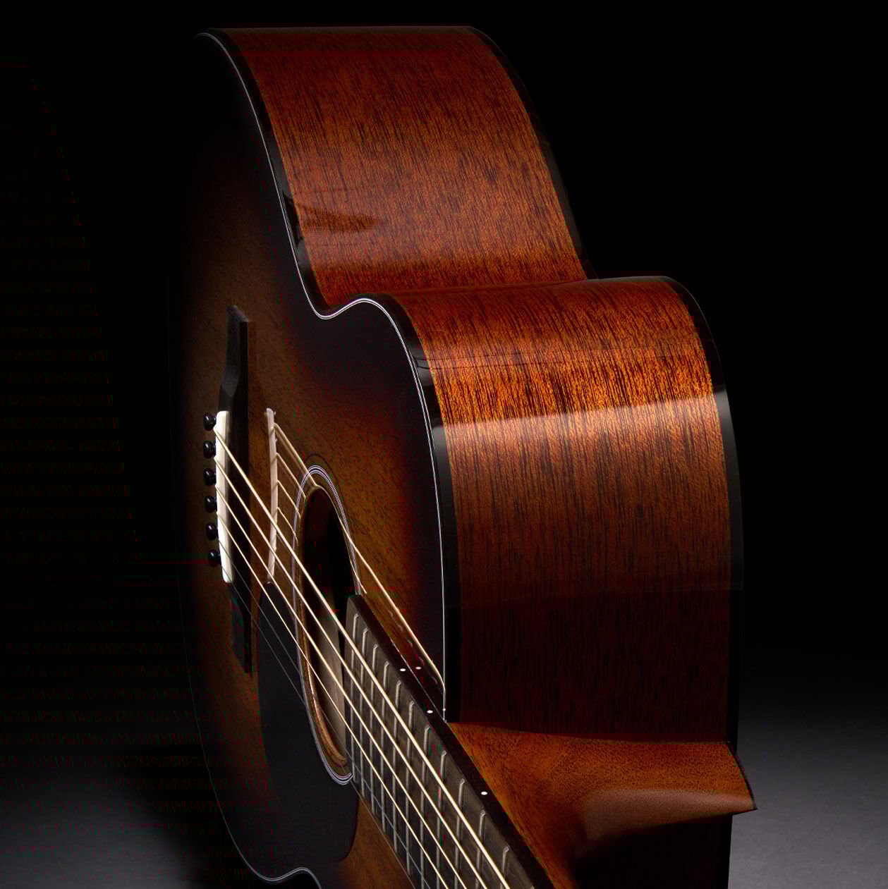 Glam photo of the Jeff Tweedy signature model