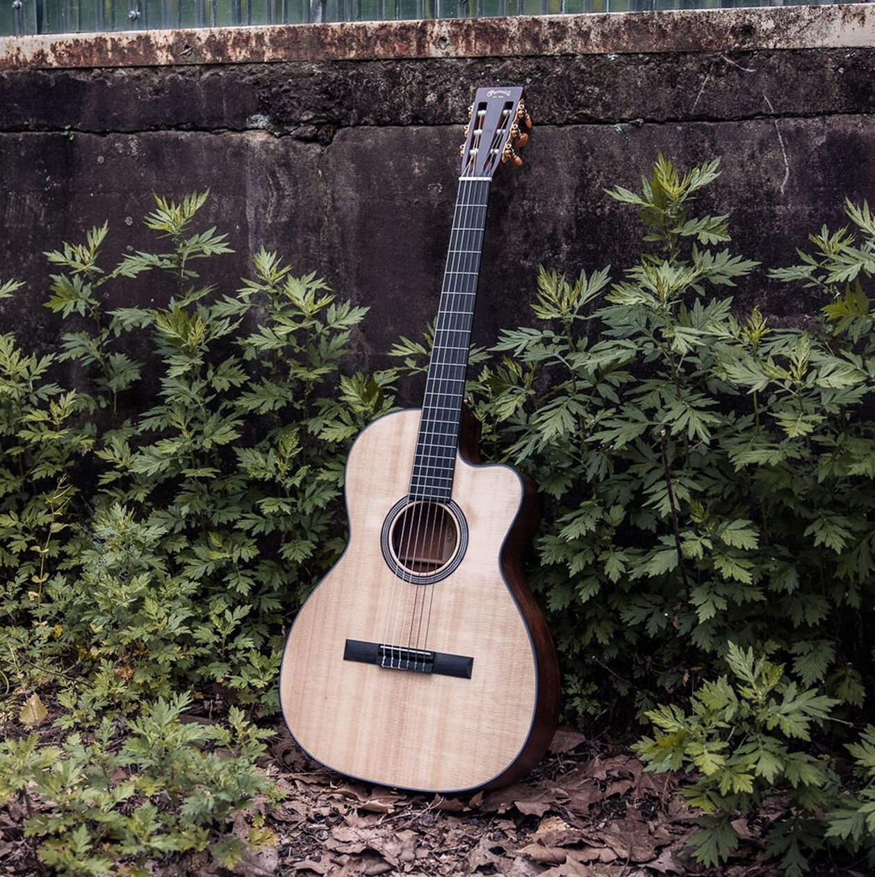 Photo of an acoustic guitar resting against a green hedge