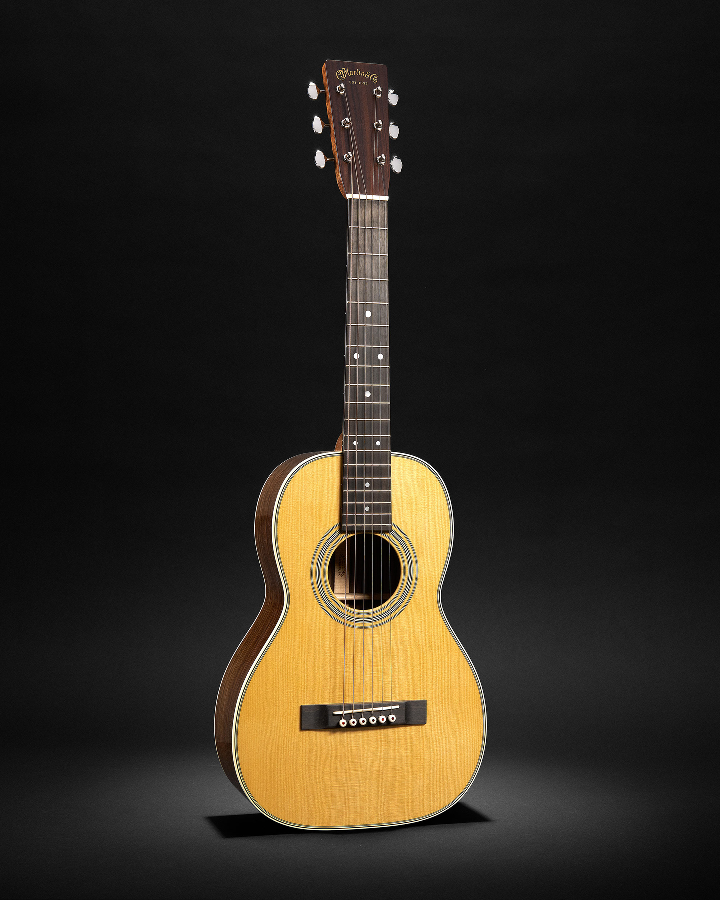 The 5-28 Terz acoustic guitar