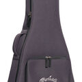 Front of a Softshell Case for a Martin Guitar image number 5