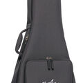 Front of a Softshell Case for a Martin Guitar image number 5