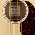 DJR-10E Bass image number 3