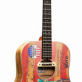 Martin D-11E Rock the Vote Guitar image number 1