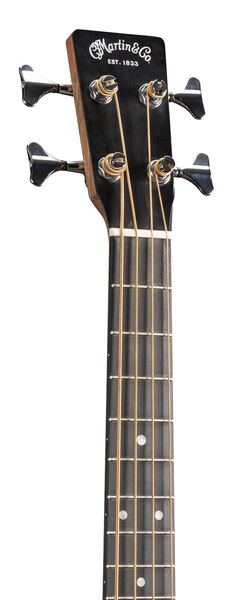 000CJR-10E Bass image number 3