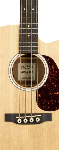 000CJR-10E Bass image number 2