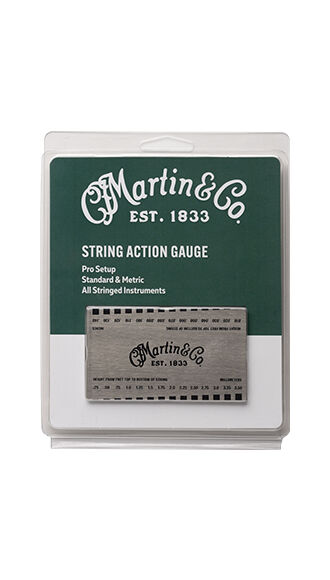 String Action Gauge