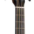 DJR-10E Bass image number 4