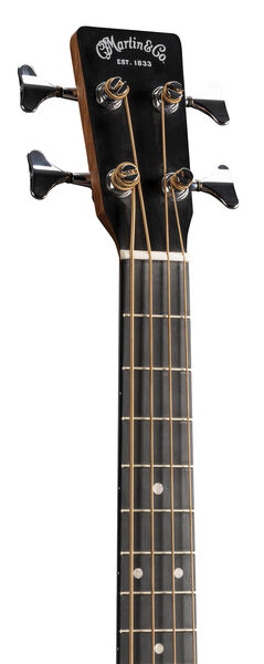 DJR-10E Bass image number 3