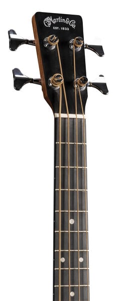 DJR-10E Bass image number 3