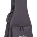 Front of a Softshell Case for a Martin Guitar image number 5