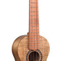 C1 Uke image number 1