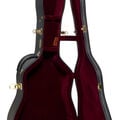 Open guitar case for a Martin guitar image number 6