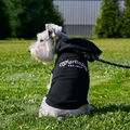 Martin Dog Hoodie image number 1
