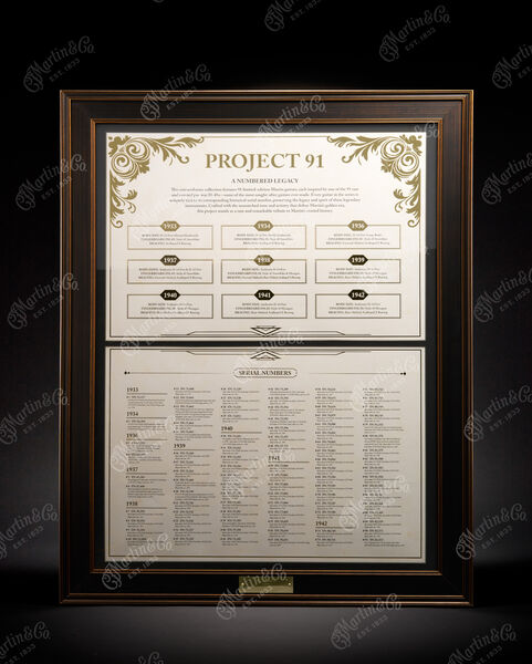 Project '91 Commemorative Poster Example image number 7