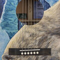 Body of Martin D Biosphere® III Guitar image number 3