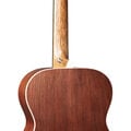 000E Black Walnut Ambertone image number 2