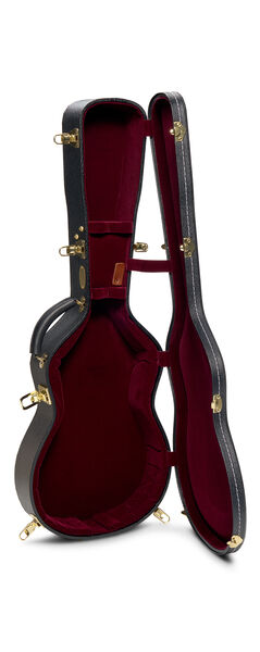 Open guitar case for a Martin guitar image number 5