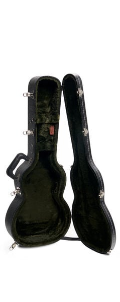 Inside of a Case for a Martin Guitar image number 6