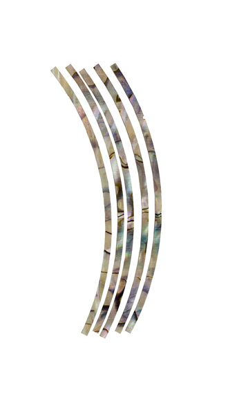 Abalone Rosette Inlay