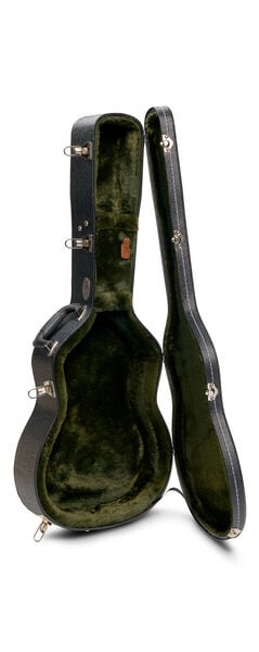 Open guitar case for a Martin guitar image number 5