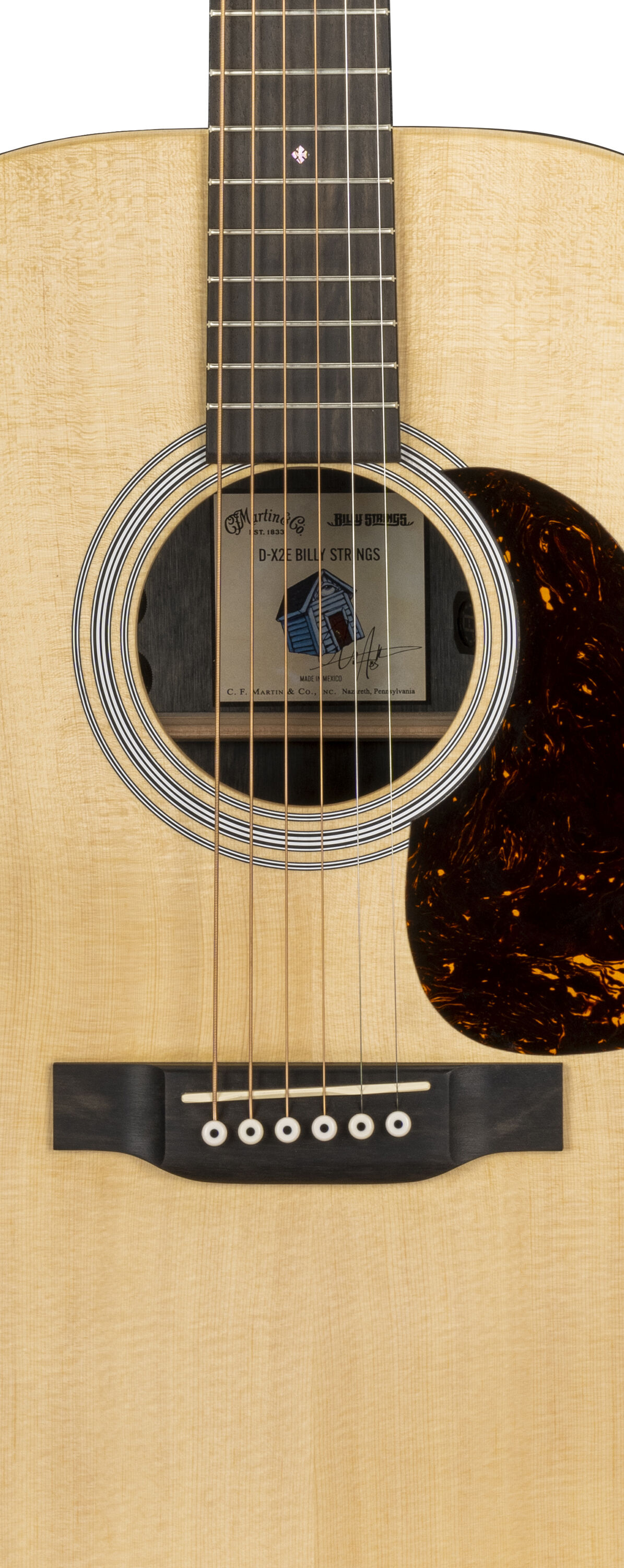 Billy strings signature guitar price cheap