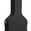 Back of a Case for a Martin Guitar image number 11