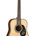 D-100 Deluxe image number 1