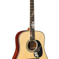 D-41 Purple Martin Cocobolo image number 1